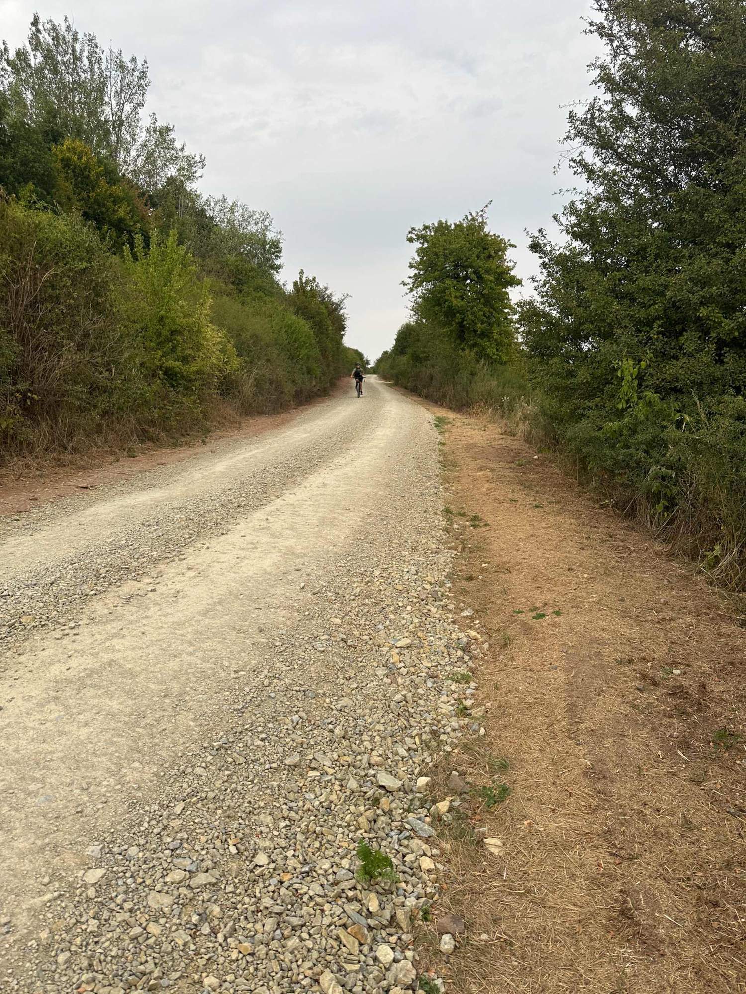 GreenTrails23
