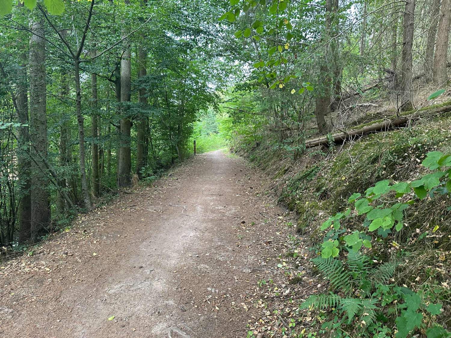 GreenTrails30