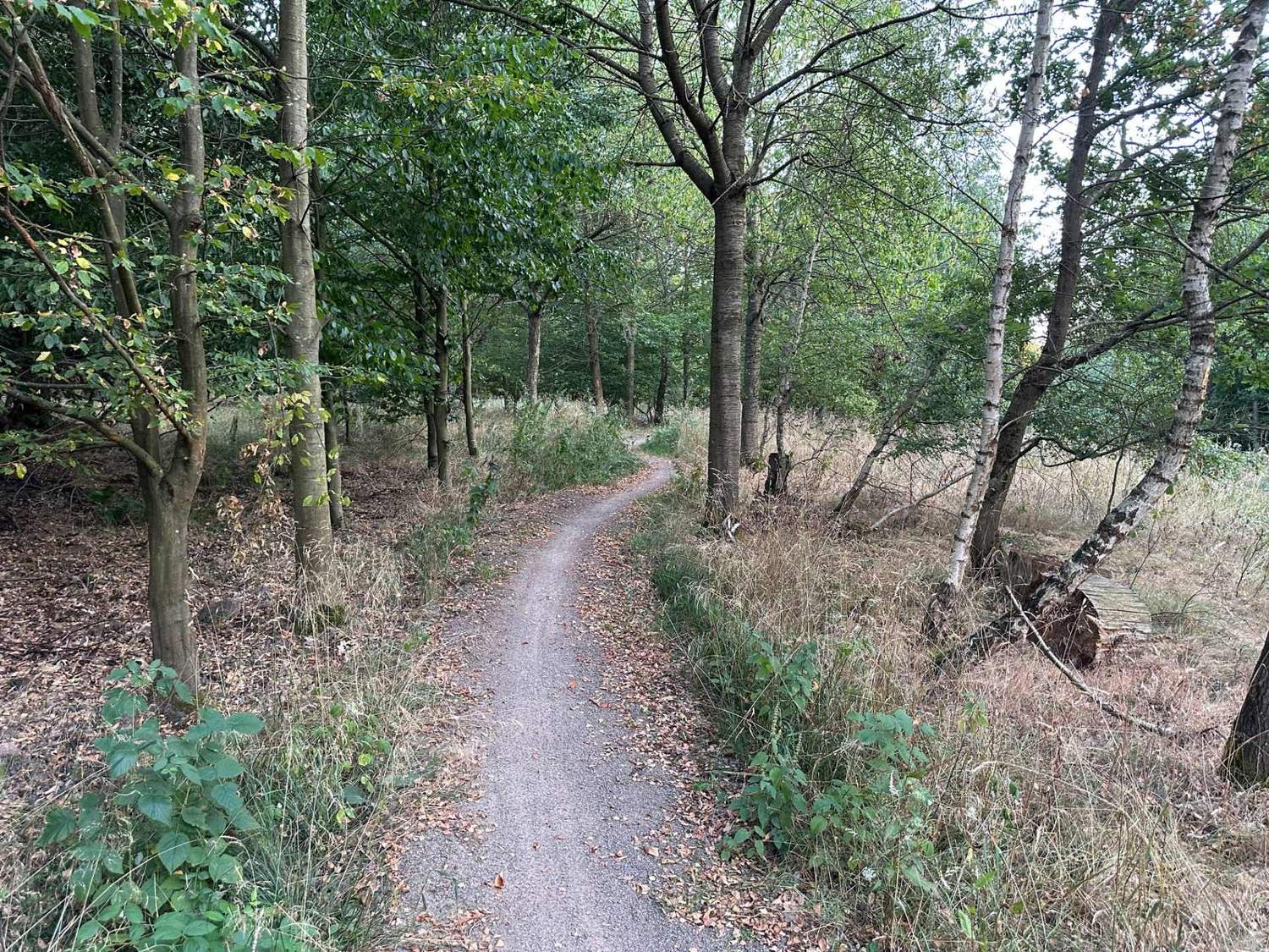GreenTrails4
