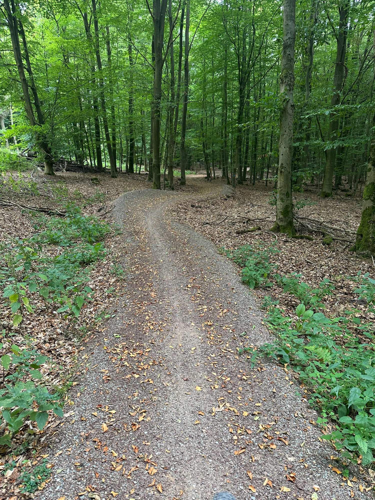 GreenTrails7